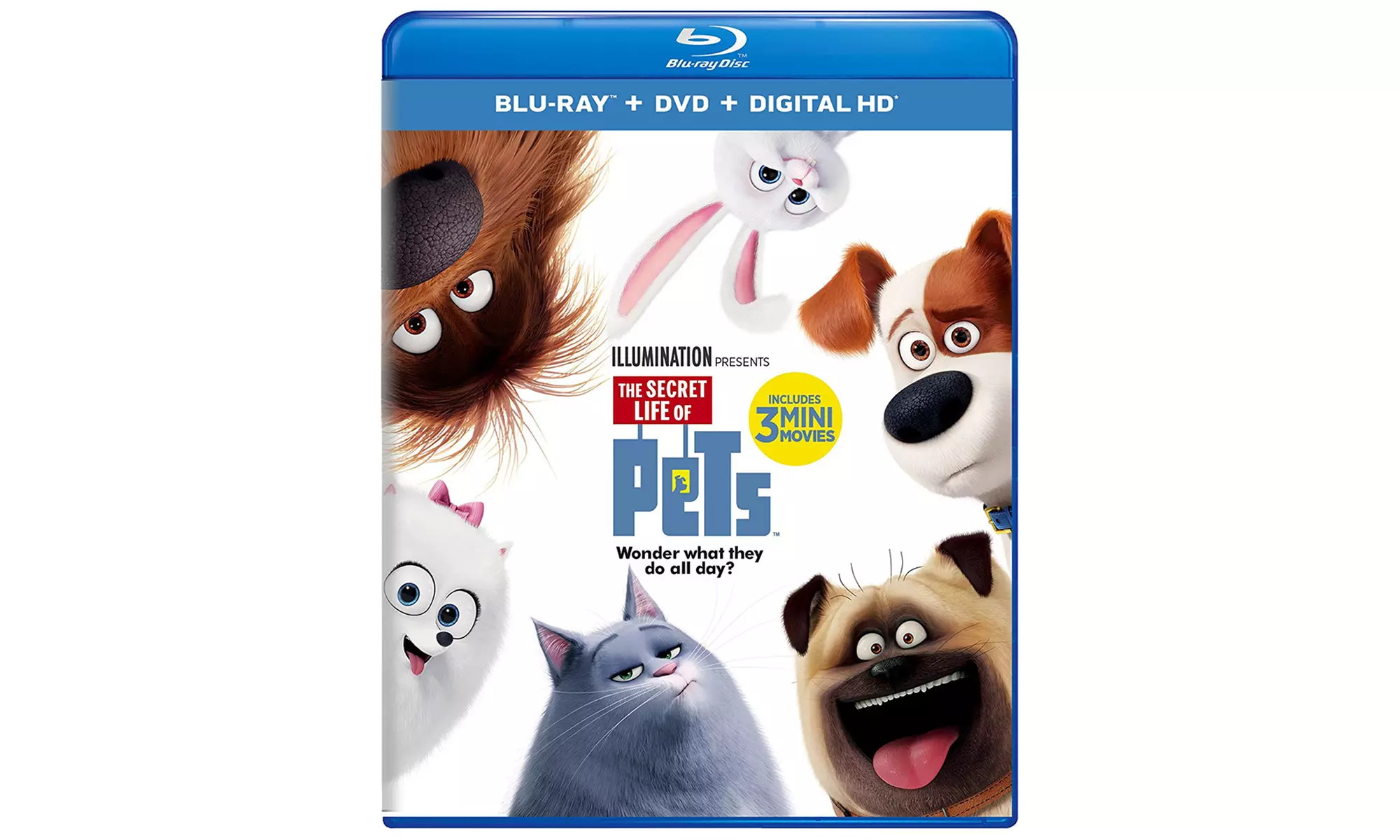 The Secret Life of Pets on DVD or Blu-ray - Second Medium