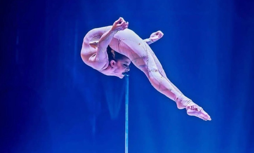 Image 6: 1 entrada para niño o adulto para el "Circo de Navidad de Gijón"
