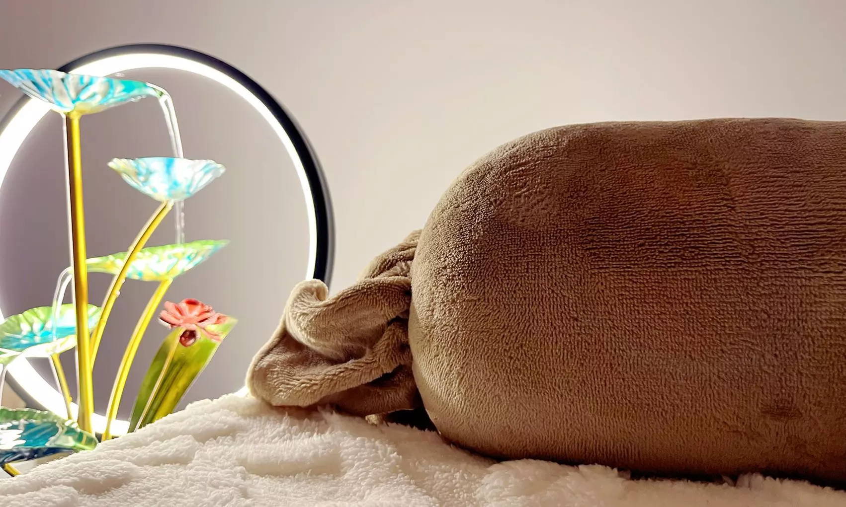 Dans un havre de paix : massage, hammam, gommage ou spa capillaire