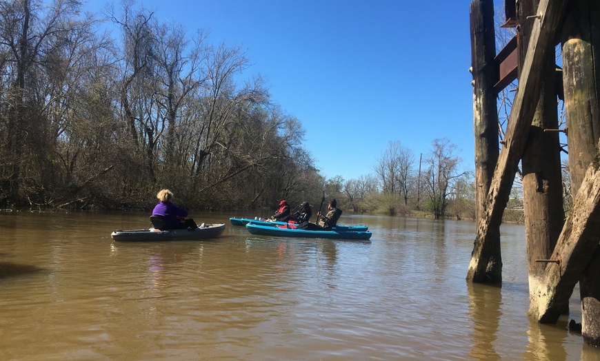 Image 6: Kayak Honey Island Swamp Tour 