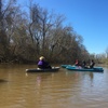 Image 6: Kayak Honey Island Swamp Tour 