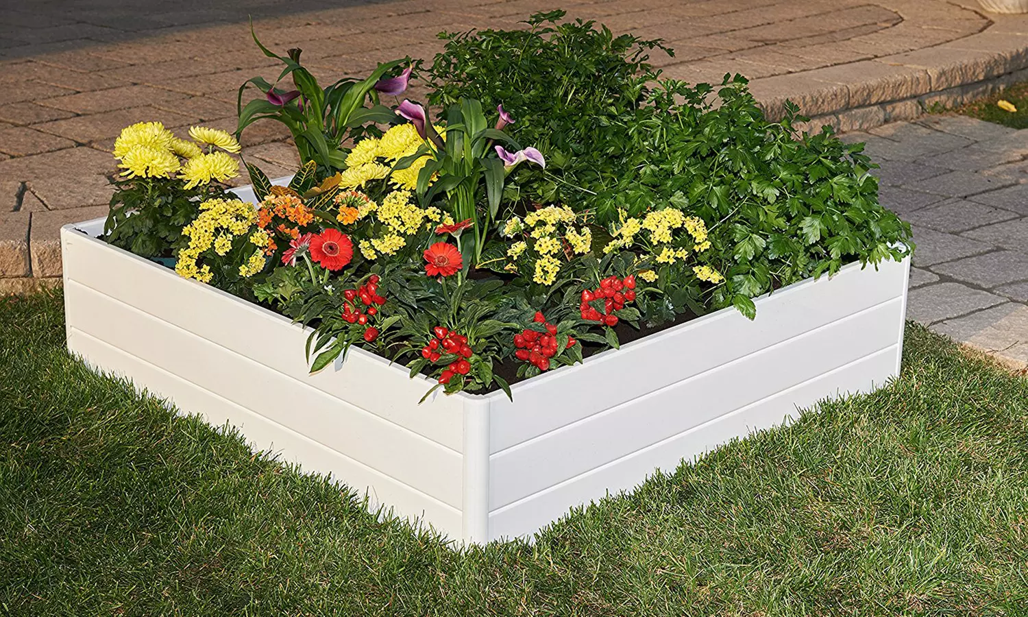 Raised Garden Bed - Primary Image
