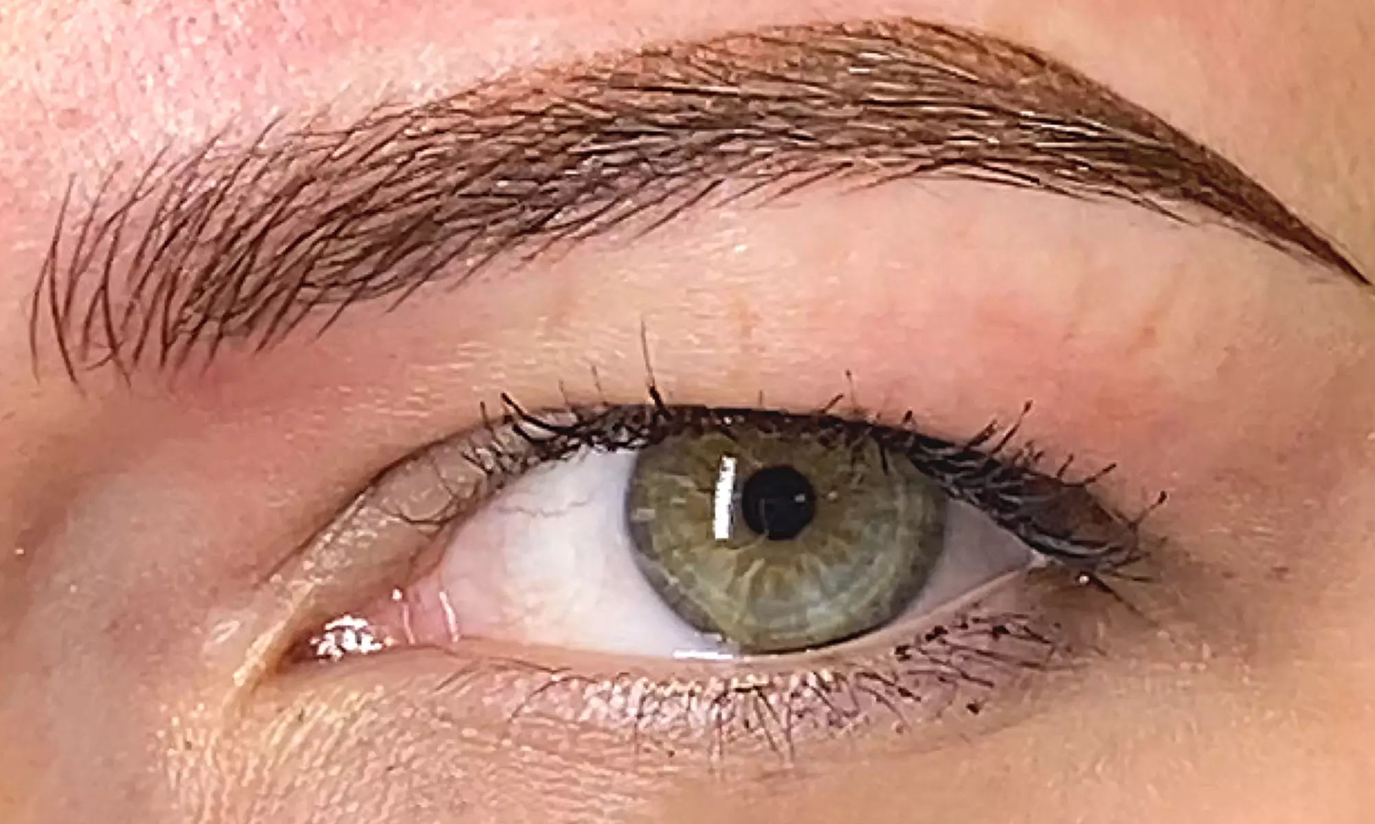 Brow, Lip, Lash & Scalp Enhancement Treatments @ Phoenix Lash & Brows
