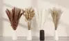 100 Pcs 17 inch Natural Dried Pampas Grass Boho Home Decor