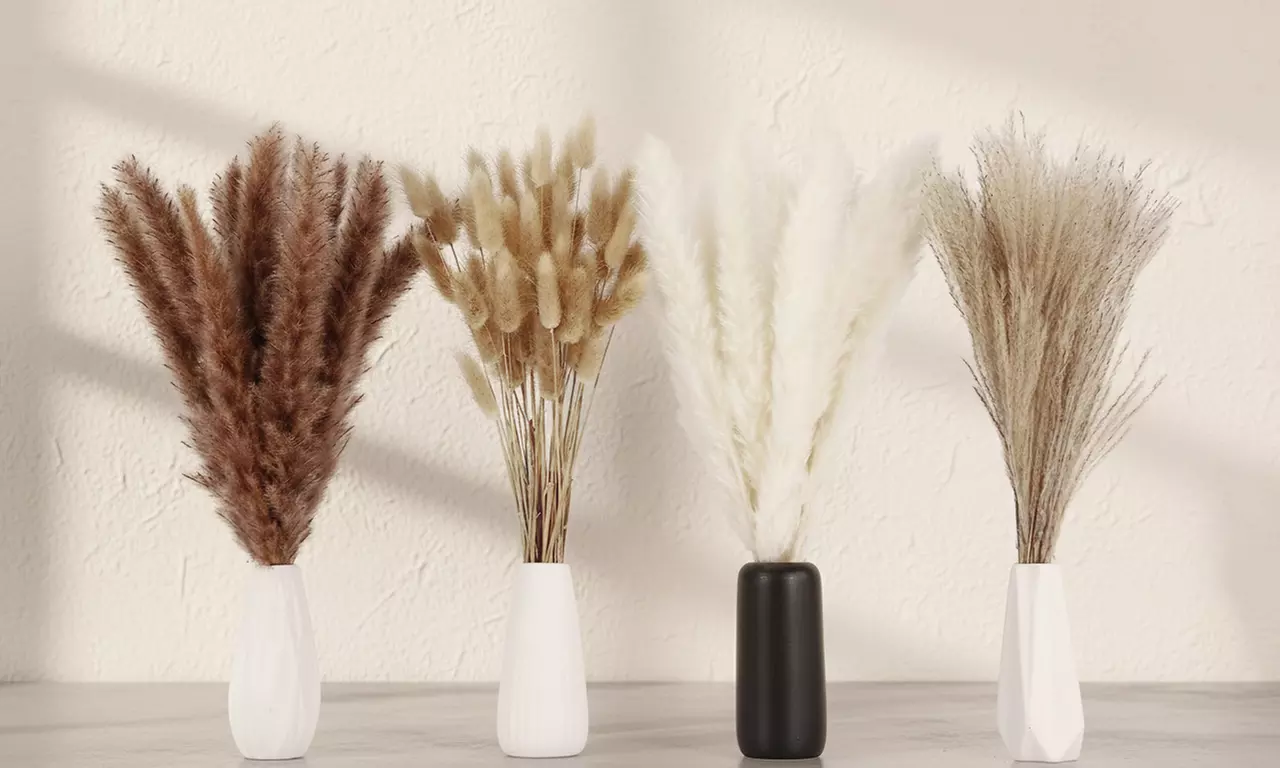 100 Pcs 17 inch Natural Dried Pampas Grass Boho Home Decor