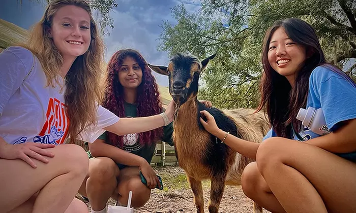 Visit Rooterville Animal Sanctuary: Admission for 1, 2, or 4 People