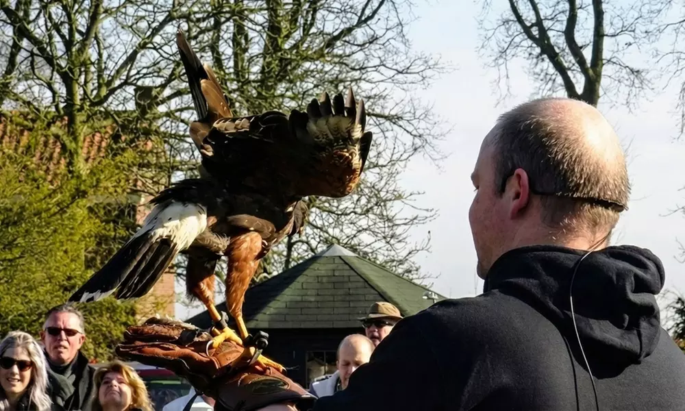 Interactieve roofvogelworkshop bij Settels Roofvogels