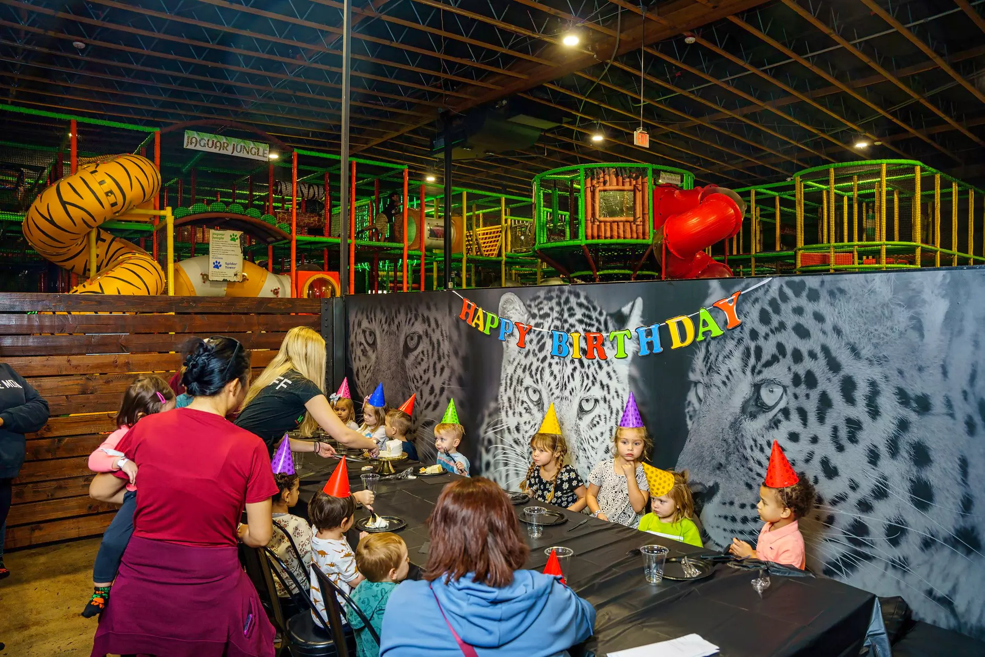 Unlimited Pass or Party Package at Wild Katz, Up to 20% Off - Primary Image