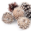 Image 4: Living And Home 30-Pack Real Pine Cones