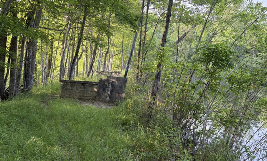 Image 5: Paintball Adventure at Pinnacle Adventure Park