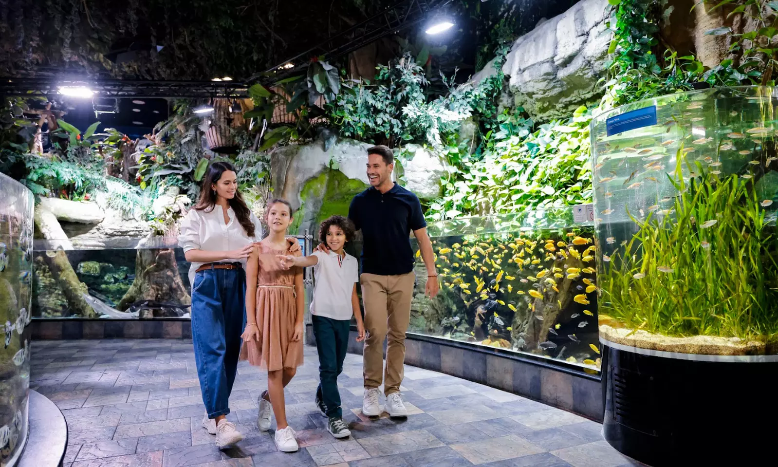 Entry for 1, 2 or 4 Adults to World’s Largest Suspended Aquarium