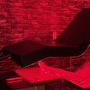 Image 4: Full Spectrum Red Light Therapy with Vibration Plate Session