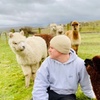 Image 1: Alpaca Adventure: Meet & Trek a New Fluffy Friend in Bishop Auckland