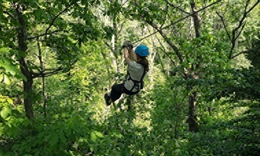 Image 7: Zipline Canopy Tours for Groups