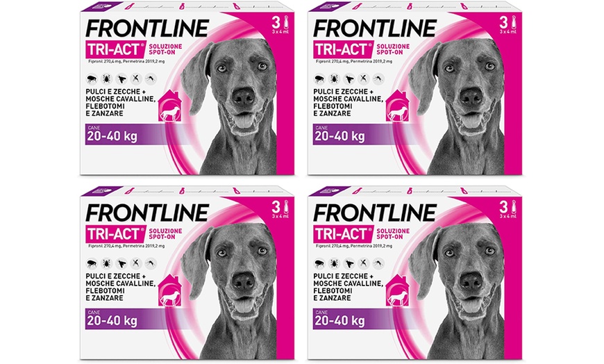 Image 21: Fino a 12 pipette Frontline Tri-Act® Spot-on per cani