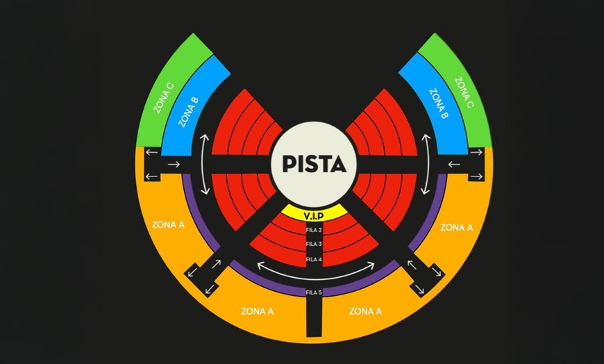 Image 8: 1 entrada para niño o adulto para el "Circo de Navidad de Gijón"