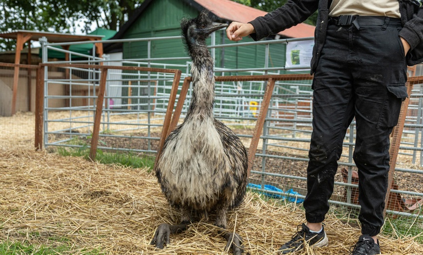 Image 13: Zoo Entry at Maldon Promenade Zoo