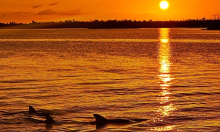 Sunset Dolphin & Wildlife Cruise (Child ticket) - Adventures in Paradise Fort Myers Beach, Florida