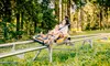 Enjoy Wisconsin's Best Views with Two Fast and Scenic Coaster Rides for Adults or Kids
