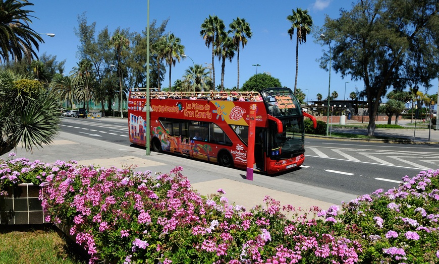 Image 5: ¡Descubre Las Palmas a tu ritmo! ¡Bus turístico de 24 horas!