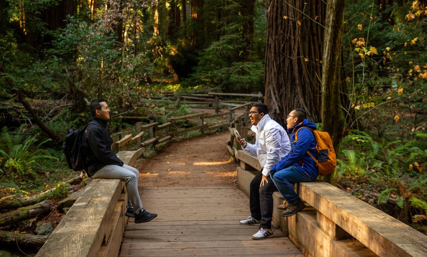 Image 39: Muir Woods & Sausalito Tour – San Francisco Bay Area
