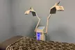 Avatar Aesthetics offers Ice Cryo Contouring for chin, arms, and love handles with up to 38% off using cutting-edge technology. - Second Medium