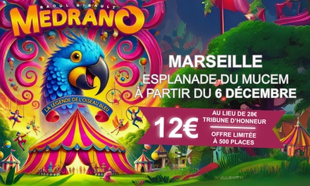 « La Légende de l’Oiseau Bleu » de Medrano : 1 place en Tribune Privilège / 23 décembre 2025 / 14h30 - « La Légende de l’Oiseau Bleu » du Grand Cirque Medrano à Marseille