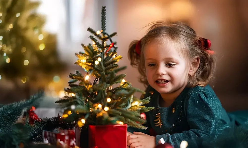 Picea glauca „Conica” - Mini-Weihnachtsbaum mit Set nach Wahl - Primary Image