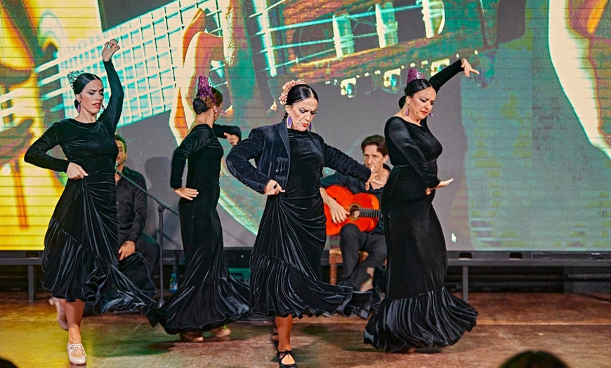 Image 4: Entradas a espectáculo flamenco con cócteles de bienvenida para 2 o 4 