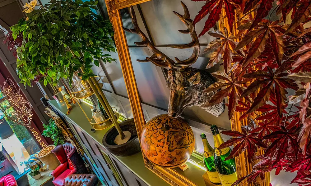 Enjoy Wine & Gin Tasting with Cheese & Charcuterie for Two or Four