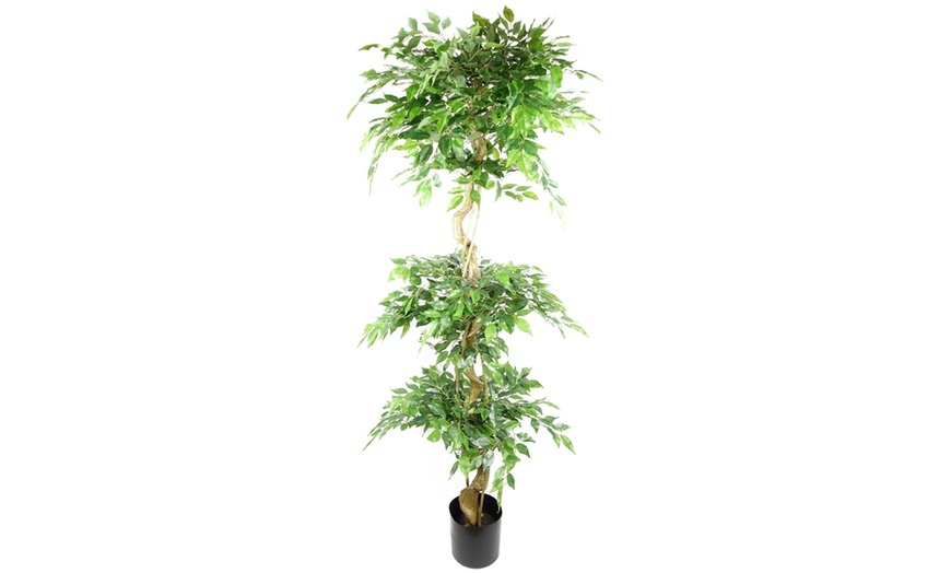 Image 4: Botanik Artificial Ficus Tree Collection