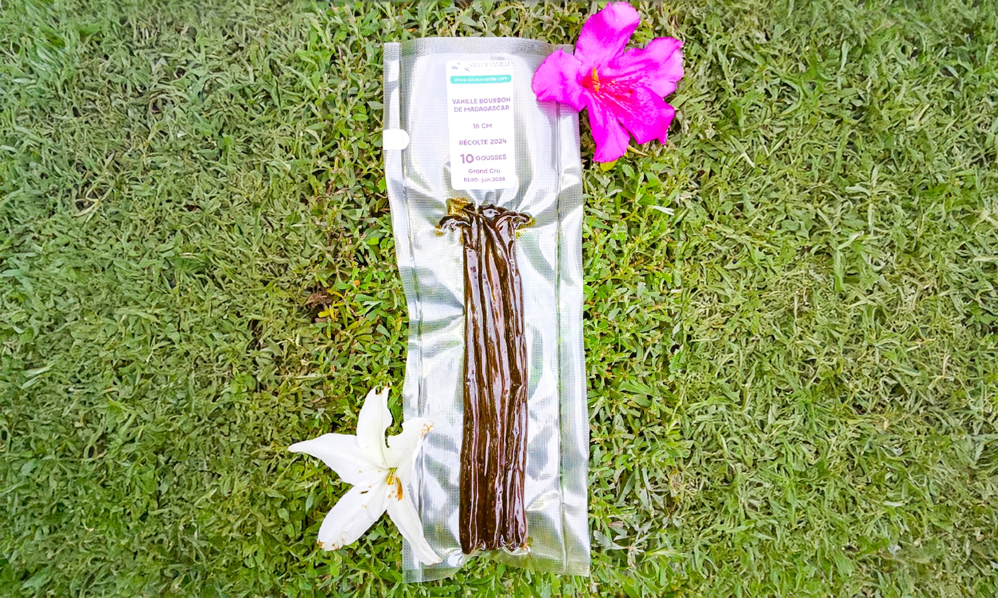 10 gousses de vanille de Madagascar