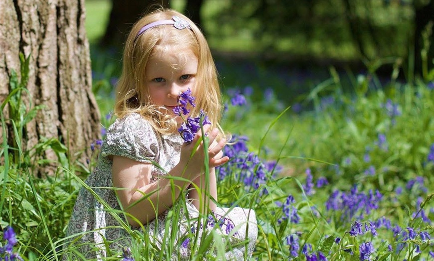 Image 11: Capture Family Magic with a Local Photoshoot in Swansea!