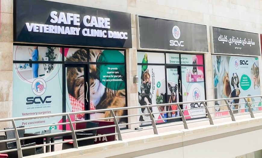Image 1: Cat and Dog Check Up and Vaccinations 