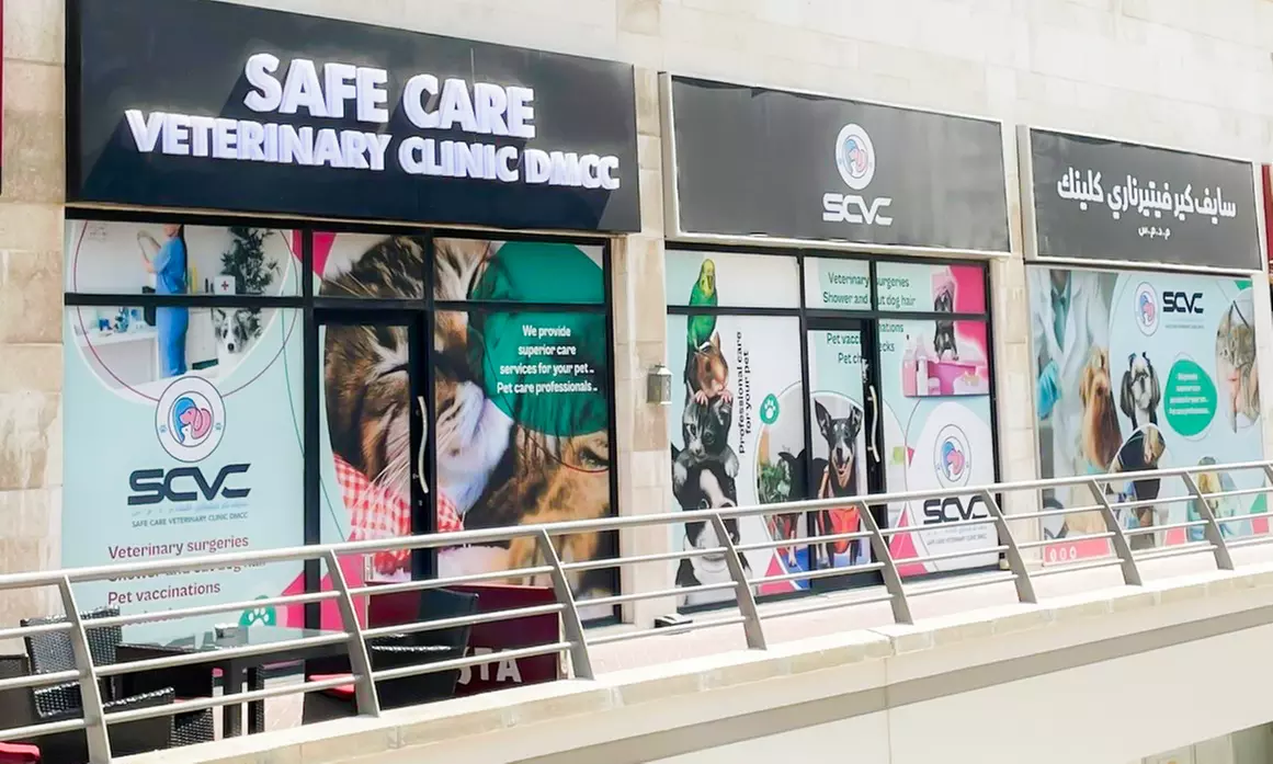 Comprehensive Pet Care with Dog/Cat Medical Check Up & Vaccinations @ Safe Care Vet in JLT (Up to 57% Off) - Primary Image