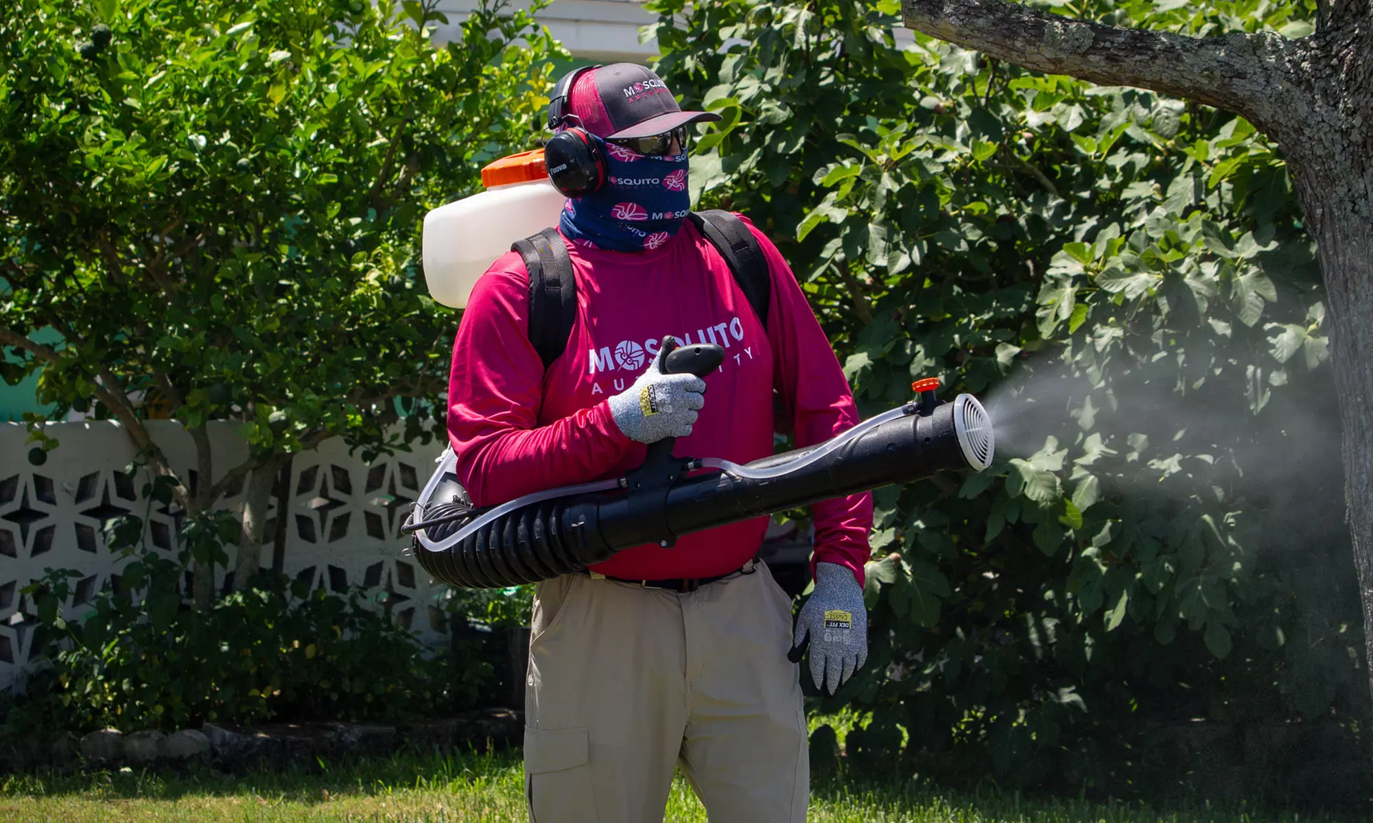 One or Two Mosquito Control Treatment for Up to a Half Acre