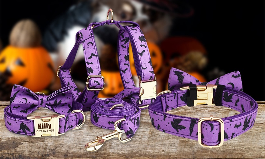 Image 3: Personalisierbares Haustier-Halsband im Halloween-Design