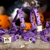 Image 3: Personalisierbares Haustier-Halsband im Halloween-Design