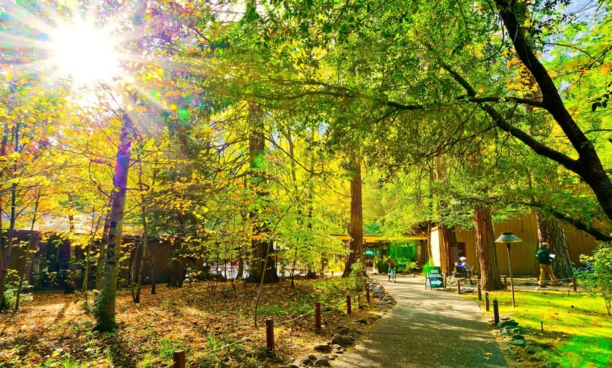 Image 17: ✈ Yosemite: 4-Day Adventure with Air & Hotel from Worldee