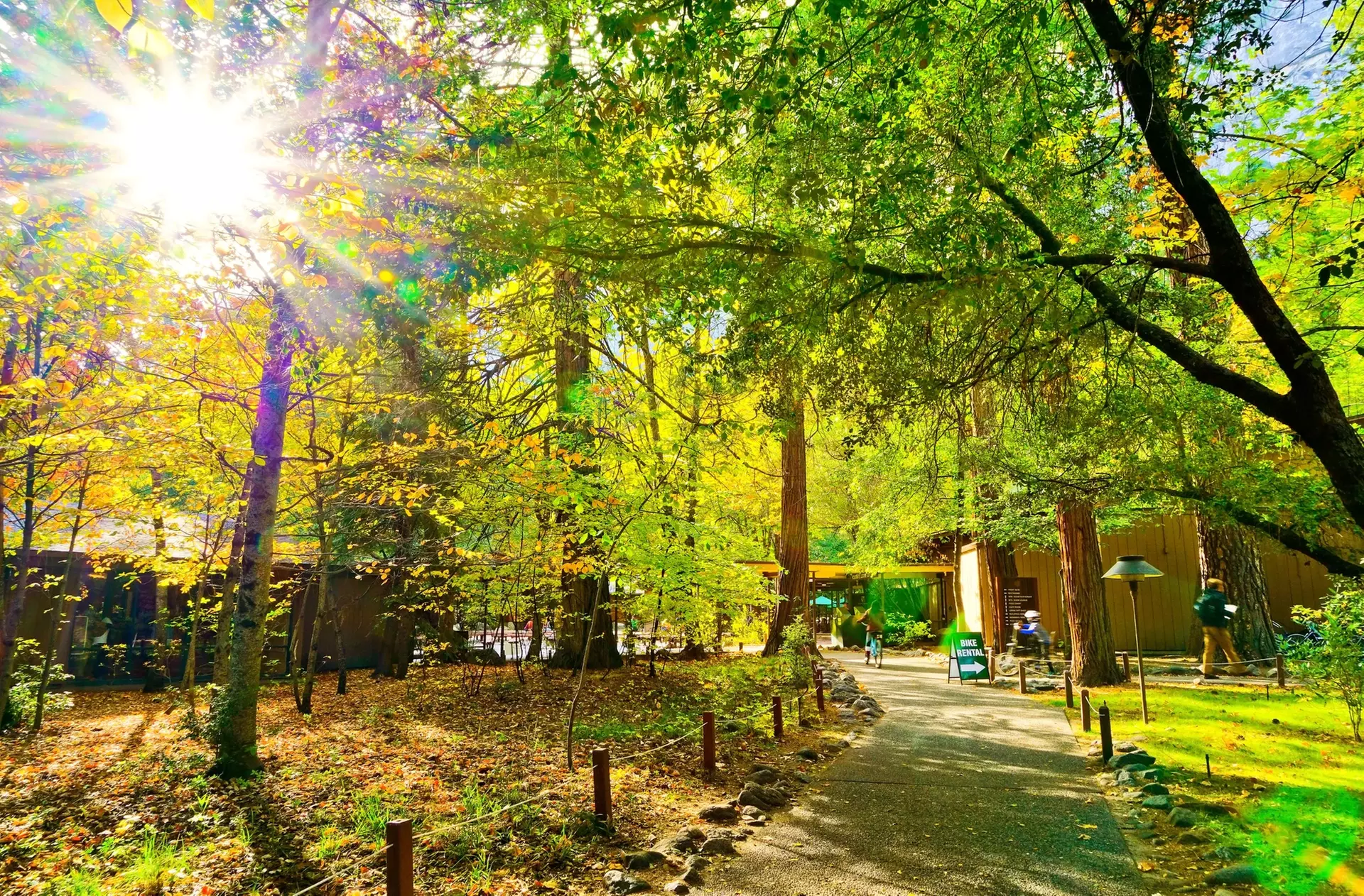 ✈ Yosemite: 4-Day Adventure with Air & Hotel from Worldee