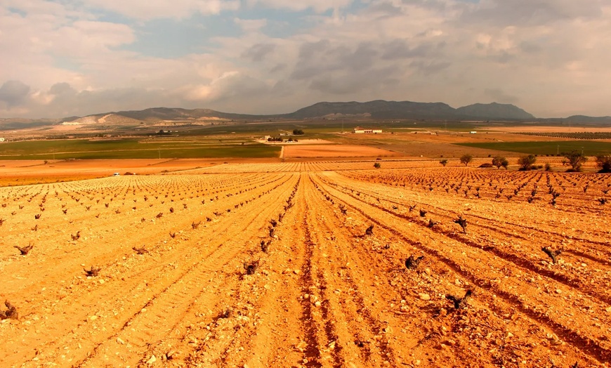 Image 5: Visita a Bodegas Las Virtudes con cata para 2 o 4 personas