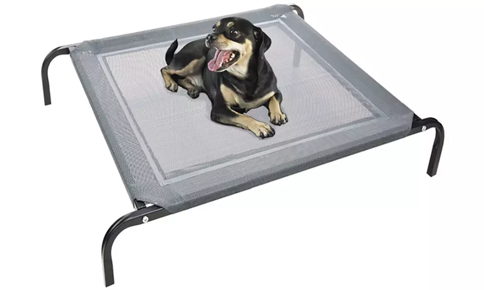 Paws & Pals Steel-Framed Portable Outdoor Elevated Dog Bed - Primary Image