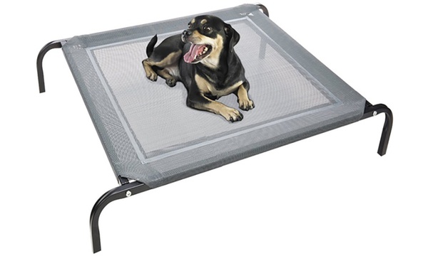 Paws and pals 2024 elevated pet bed