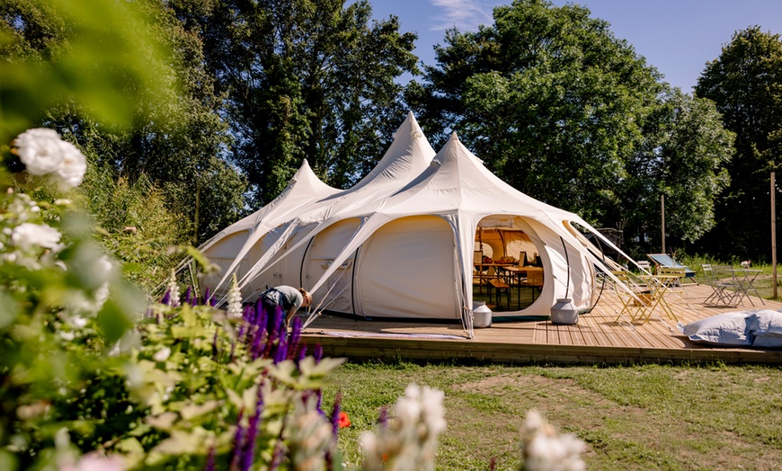 Image 13: Discover Beautiful Lavender Fields & Afternoon Tea at Finchingfield Camping with Up to 33% Off!