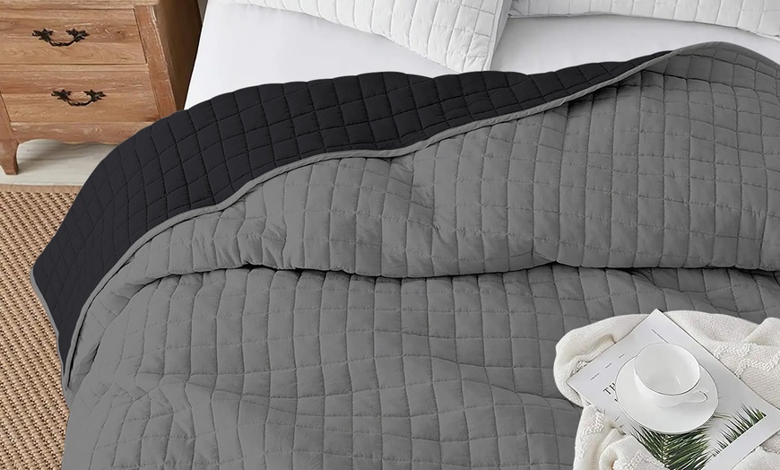 Image 17: Italian 4-Season Two-Tone Hypoallergenic Quilt