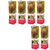 Image 9: Set de 4 ou 8 graminées ornementales "Red Baron" de Gardenzo