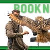 Image 6: Experience the Thrill: Two-Hour Birds of Prey Adventure for 1, 2, or 4