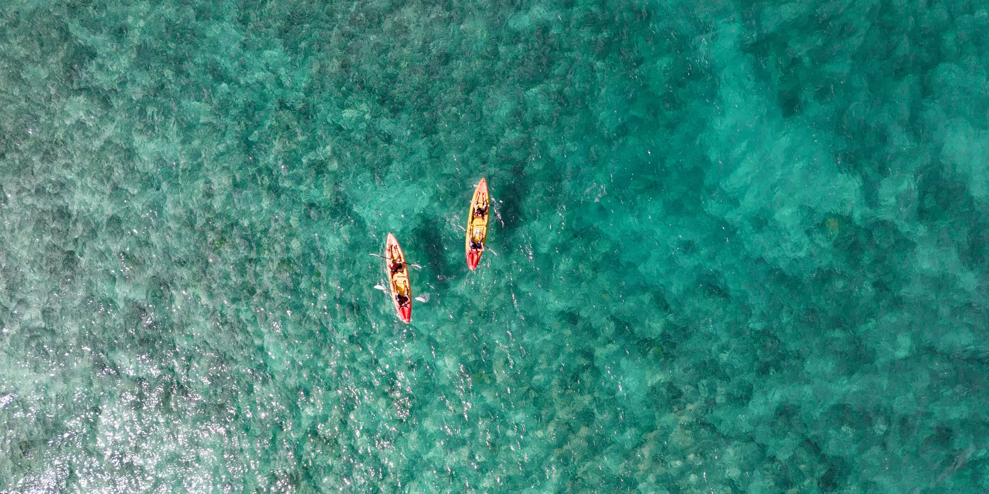 Guided Kayak and E Bike Tour to Popoia Island Bird Sanctuary