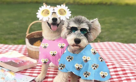 1-Time Interior Flea & Tick (Pet Lovers’) Treatment - Sovereign Pest Control of Georgia