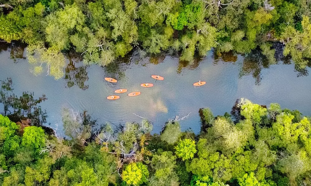 Ticket to Narrabeen Sup Creek Tour for Up to 11 People